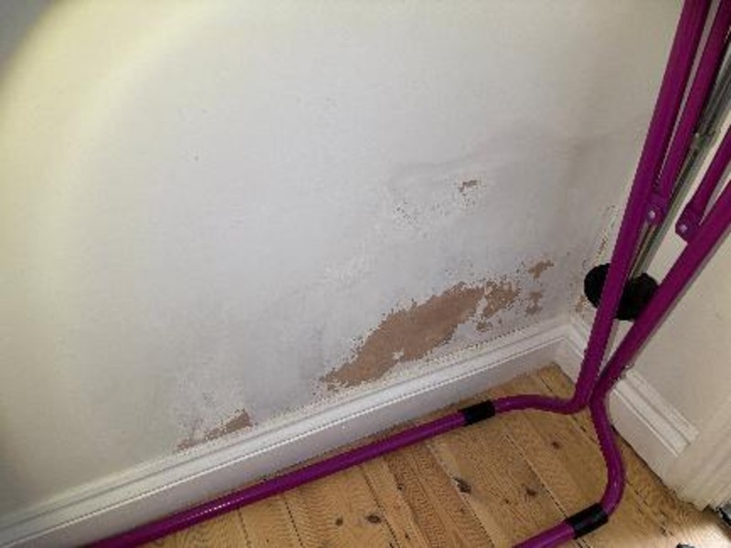 Rising Damp 2