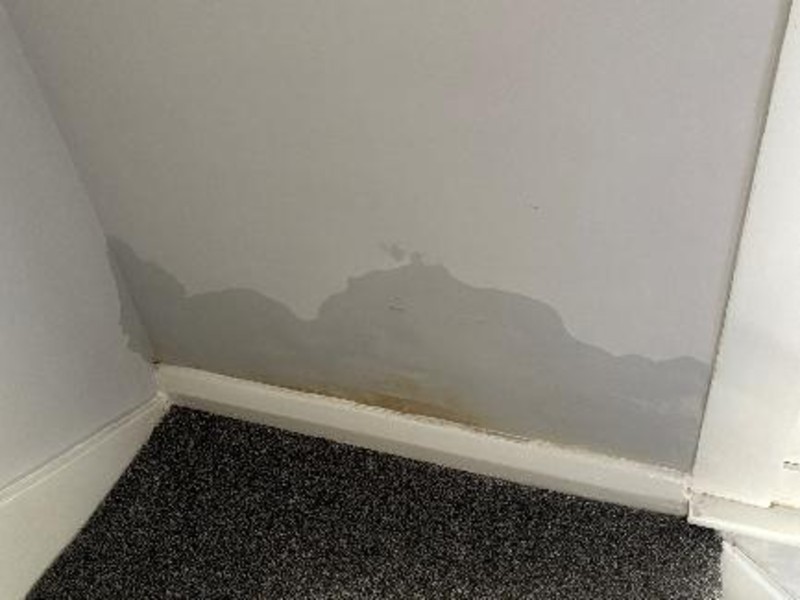 Rising Damp 3